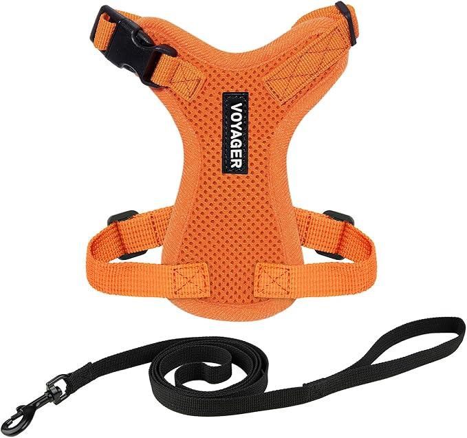 Voyager Step-in Lock Adjustable Cat Harness w. Cat Leash Combo Set with Neoprene Handle 5ft - Supports Small, Medium and Large Breed Cats by Best Pet Supplies - Orange, XXXS