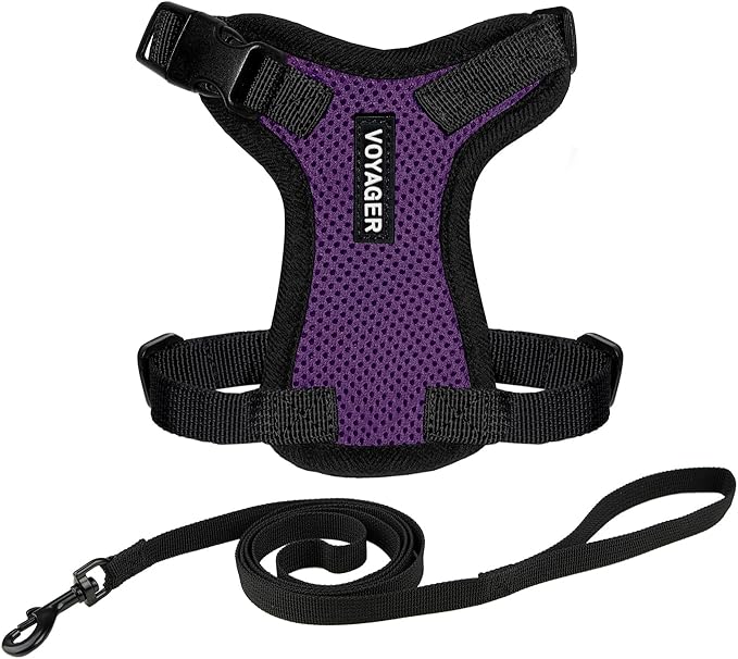 Voyager Step-in Lock Adjustable Cat Harness w. Cat Leash Combo Set with Neoprene Handle 5ft - Supports Small, Medium and Large Breed Cats by Best Pet Supplies - Purple/Black Trim, S