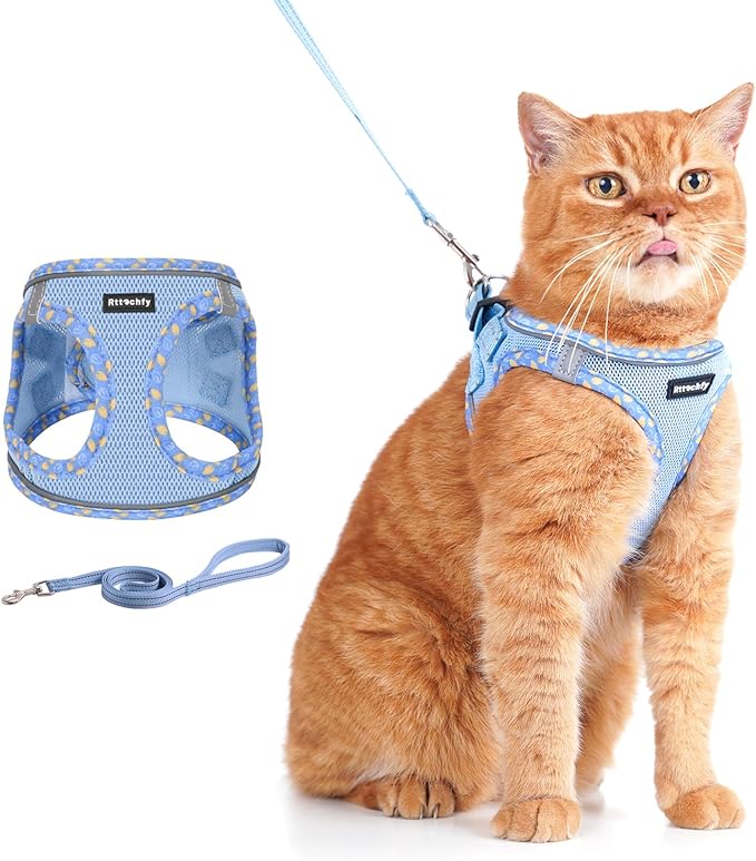 Rttochfy Cat Harness and Leash Set, Escape Proof Kitten Harness, Soft and Breathable Vest with Reflective Strip, Easy to Wear for Cats Walking and Traveling (Blue, M)