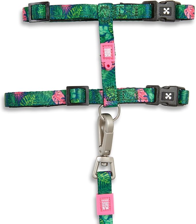 Max and Molly Adjustable Cat Harness and Leash Set - Escape-Proof Cat Harness with Leash for Outdoor Walking and Exploring, Soft Padded Double Stitched Fabric (Tropical)