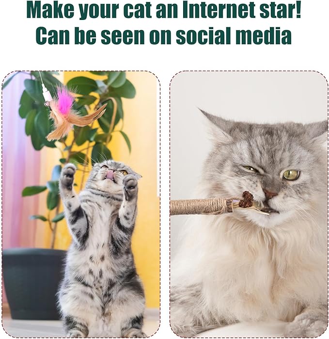 2pcs Silicone Collar Cat Toys & 3pcs Cat Teasing Wands, Adjustable Cat Wand Toy Cat Feather Toys Catnip Chew Toys Silvervine Sticks Interactive Cat Teaser Toys for Indoor Cat Kitten Exercise