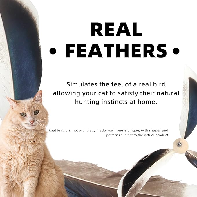 ALL FOR PAWS Cat Real Feather Toy Kitten Cat Wand Toy Kitten Teaser Toys Telescopic Wand Kitty Cat Enrichment Toy for Indoor Cats