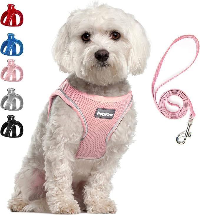 PetiFine Step in Small Dog Harness and Leash Set, Breathable All Weather Air Mesh Reflective Escape Proof, Step-in Vest Harnesses for Puppy(S, Pink)