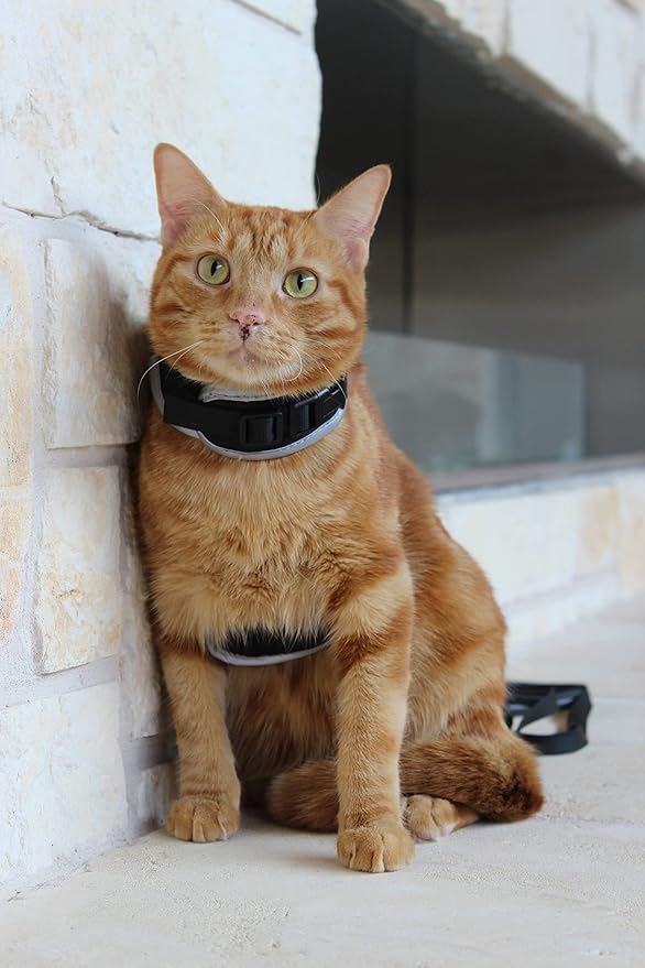 Travel Cat & Stray Cat Harness and Leash Set - Adjustable Velcro Mesh Cat Harness and Strong Nylon Leash Kit - Comfort Escape Proof Harness for Cats, Kitten for Outdoor Walking (Large: 13-16 in)