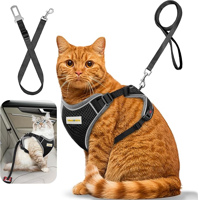 Cat Harness and Leash for Walking, Retractable Cat Harnesses and Leash Set Escape Proof, Breathable Soft Kitten Harness Small Large Cat Harness for Travel Training and Walking, Black, M