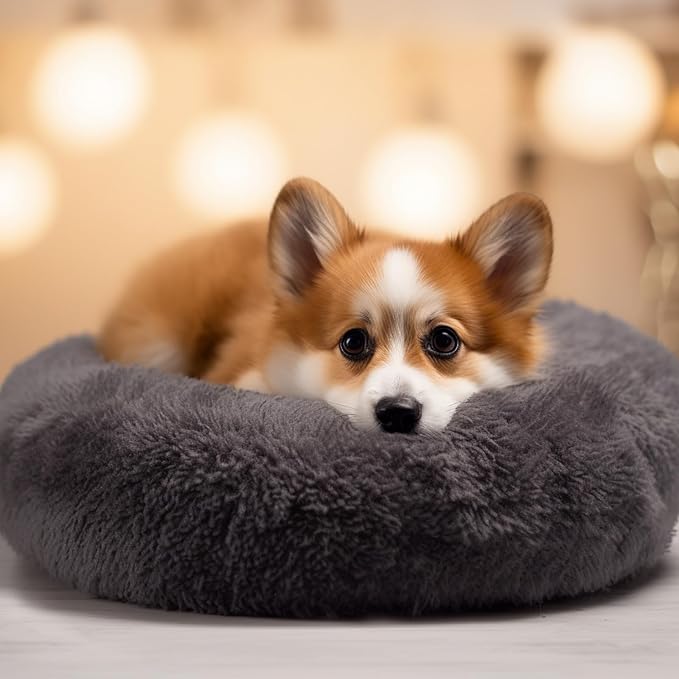 ShellKingdom Cat Beds for Indoor Cats, 24 inch Large Dog Bed for Small Medium Large Dogs, Cute Round Fluffy Plush Pet Bed for Puppy Kitten, Self Warming Calming Soft Donut Cat Bed, Grey