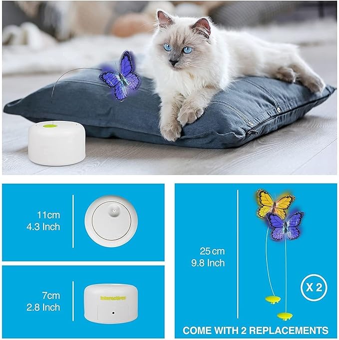 ALL FOR PAWS Interactives Cat Teaser Toy Catnip Toy Flutter Bug Cat Wand Toy Cat Fun Playing Toys Kitten Toys (Shiny Butterfly)
