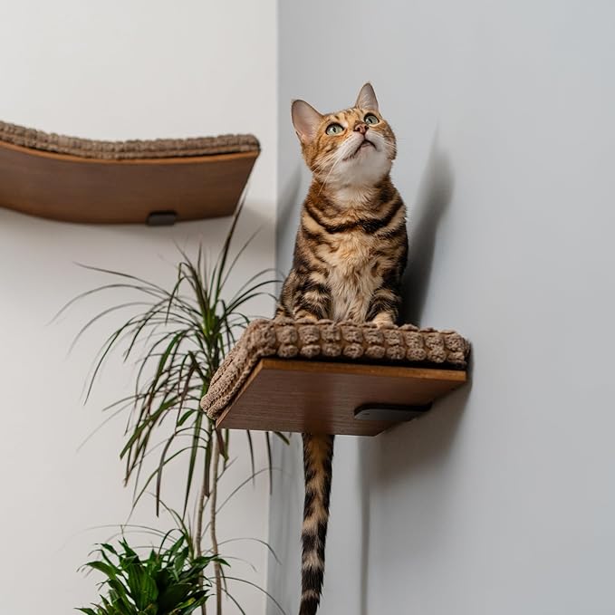 Cat Wall Furniture, Wall Mounted Cat Shelf, Cat Window Perch, Cat Shelves, Cat Wall Bed, Cat Steps for Wall, Cat Playground, Cat Wall Set Brown Cat Waved Shelf Cat Step