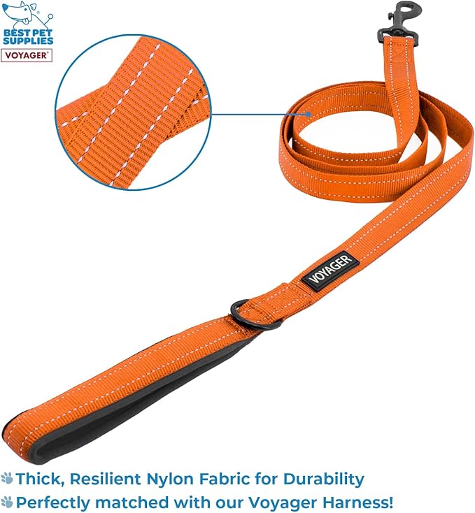 Voyager Step-in Lock Adjustable Cat Harness w. Cat Leash Combo Set with Neoprene Handle 5ft - Supports Small, Medium and Large Breed Cats by Best Pet Supplies - Orange/Black Trim, XXXS