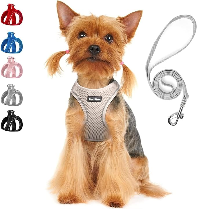 PetiFine Extra Small Step in Dog Harness and Leash Set, Cat Harness and Leash Escape Proof, All Weather Mesh Reflective, Step-in Air Vest Harnesses for Puppy(XXXS, Grey)