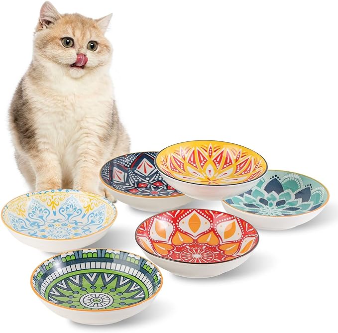 5.5 inch Wide Shallow Cat Food Bowl Set for Relief Whisker Fatigue -Ceramic - 6 Colorful Cute Small Flat Kitten Feeding Dish/ Dishes - Microwave and Dishwasher Safe - 8 oz
