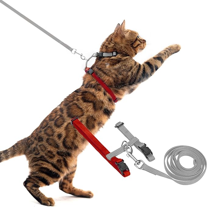 PUPTECK Adjustable Cat Harness and Leash Set Escape Proof Kitten Strap Collar for Walking Travel, Grey/Red Mixed