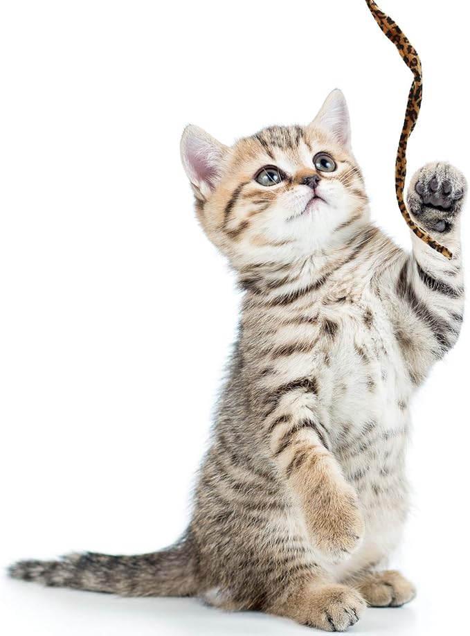 3 Pieces Jungle Cat Wand Cat Teaser Charmer Interactive Cat Toys Wand Fun Cat Kitten Kitty Playing Toy, 3 Styles (Classic Color)
