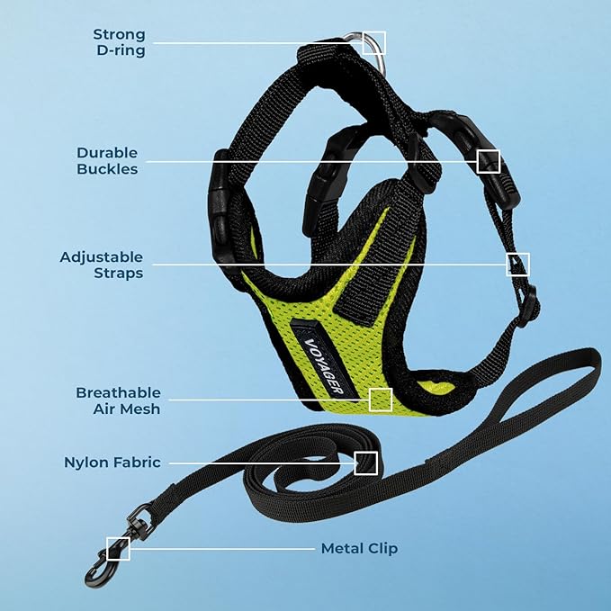Voyager Step-in Lock Adjustable Cat Harness w. Cat Leash Combo Set with Neoprene Handle 5ft - Supports Small, Medium and Large Breed Cats by Best Pet Supplies - Lime Green/Black Trim, S