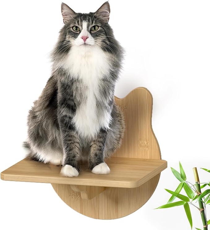 Cat Wall Shelves Furniture for Climbing - Cat House Wall Mounted - Indoor Wooden Floating Cat Furniture - Different Models Including Shelves, Perches, Hammock, Bed, Bridges, Walkways