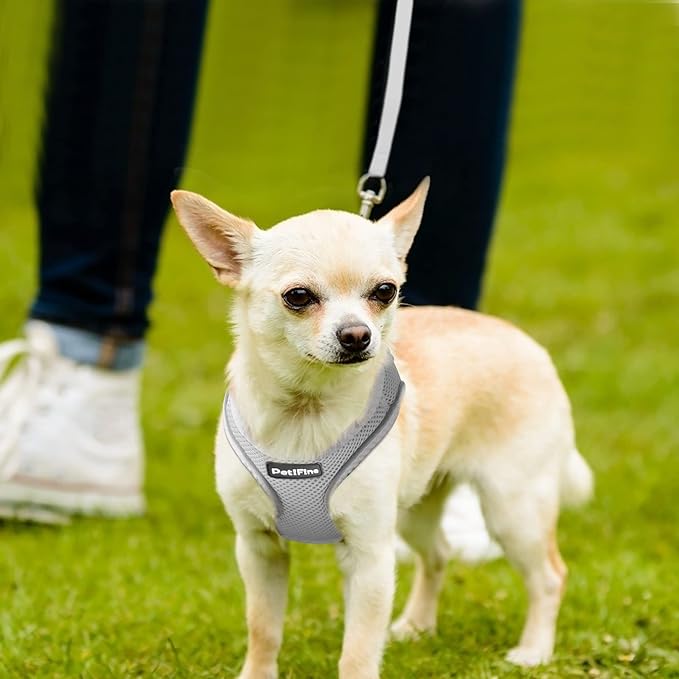 PetiFine Step in Small Dog Harness and Leash Set, Breathable All Weather Air Mesh Reflective Escape Proof, Step-in Vest Harnesses for Puppy(XS, Grey)