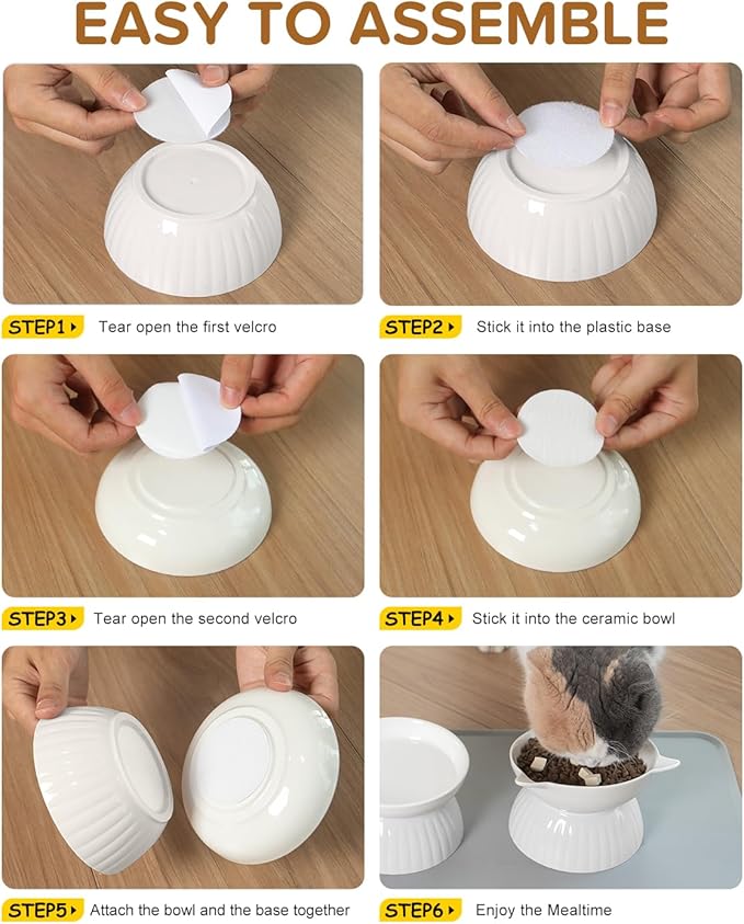 2 Ceramic Raised Cat Food Bowls, Elevated Cat Food and Water Bowl Set, Pet Bowl for Indoor Cats and Small Dogs, Anti-Vomiting Cat Dog Feeder with Plastic Base, Dishwasher Safe (Pure White)