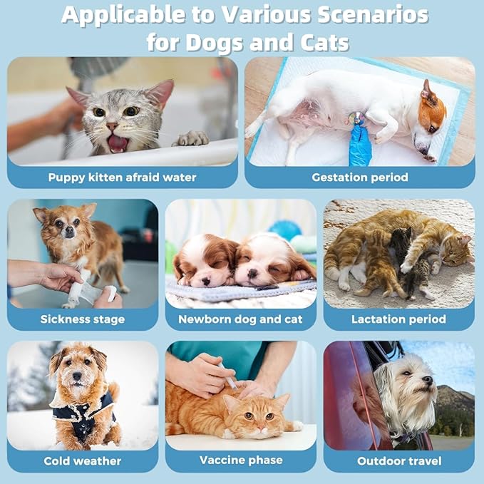 4 Pack Dog Individually Packaged Wipes Cat Wipes Pet Travel Wipes Pet Care Wipes Cat Dog Cleaning Wipes Perfect Travel Companion for Dogs and Cats(40 Counts)