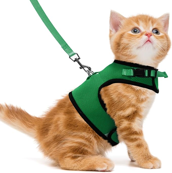 PUPTECK Soft Mesh Cat Vest Harness and Leash Set Puppy Padded Pet Harnesses Escape Proof for Cats Small Dogs Rabbits Bunny, Deep Green Medium