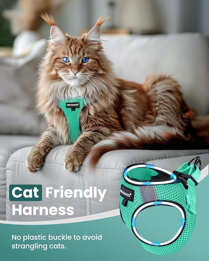 FAYOGOO Cat Harness and Leash Set for Walking Escape Proof, Kitten Adjustable Small Large Lightweight Soft Vest Harness and Leash(Medium, Green)