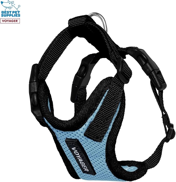 Voyager Step-in Lock Adjustable Cat Harness w. Cat Leash Combo Set with Neoprene Handle 5ft - Supports Small, Medium and Large Breed Cats by Best Pet Supplies - Baby Blue/Black Trim, XXS