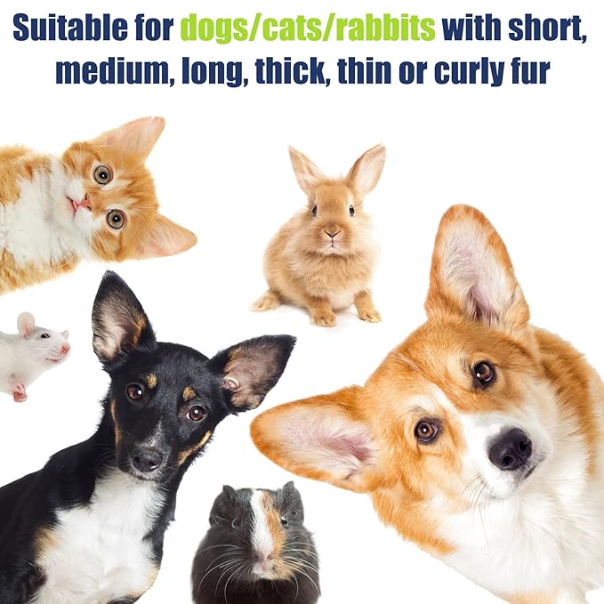 3-in-1 Rechargeable Steamy Cat Grooming Tool - Defur Comb, Spray Massage, Self-Cleaning Hair Brush with USB Port