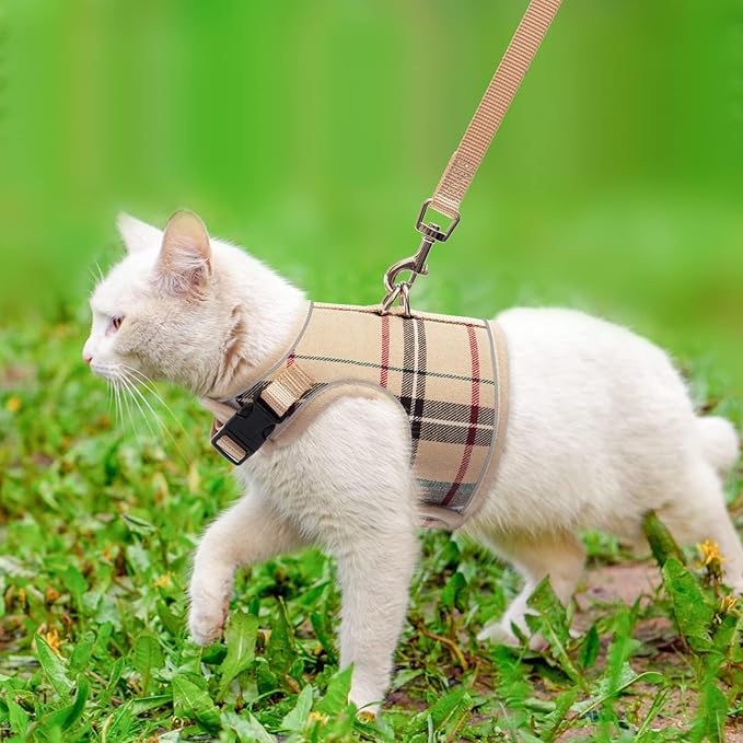 BINGPET Cat Harness and Leash Escape Proof - Soft and Air-Mesh Kitten Travel Walking Harness - Vest Harness for Small Medium Large Cats & Puppy Dog & Rabbit