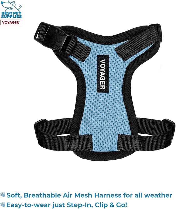 Voyager Step-in Lock Adjustable Cat Harness w. Cat Leash Combo Set with Neoprene Handle 5ft - Supports Small, Medium and Large Breed Cats by Best Pet Supplies - Baby Blue/Black Trim, XXS