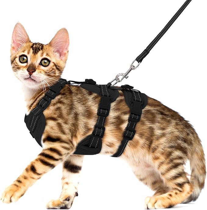 Fully Escape Proof Cat Harness and Leash Set for Walking, Adjustable Soft Kitten Vest with Reflective Strip for Small Medium Large Adult Cats, Breathable Kitty Harness,Black S
