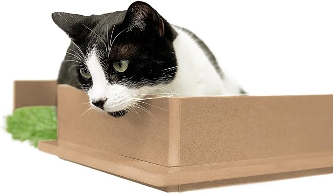 On2 Pets Cat Shelves Wall-Mounted Cat Trees Cat Furniture for Climbing, Playing and Relaxing, Set of 2, Indoor Cat Shelf Made in USA… (Zen Green, Box)