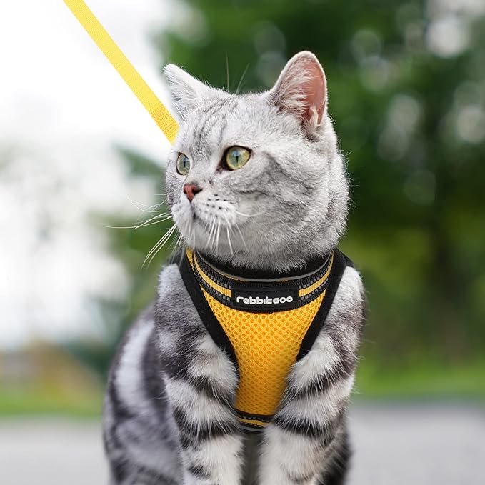 rabbitgoo Cat Harness and Leash Set for Walking Escape Proof, Adjustable Soft Kittens Vest with Reflective Strip for Cats, Comfortable Outdoor Vest, Lemon Yellow, M