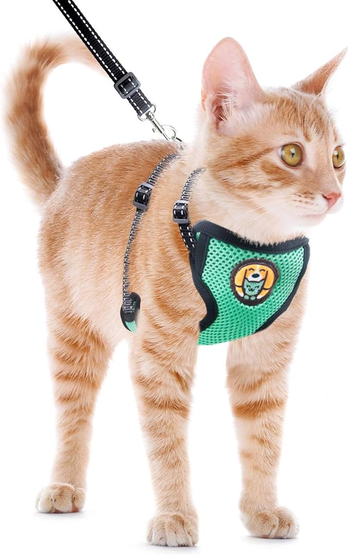 Cat Harness and Leash Escape Proof, Adjustable Cat Kitten Puppy Walking Jacket with Metal Leash Ring, Soft Breathable Small Pet Vest (M)