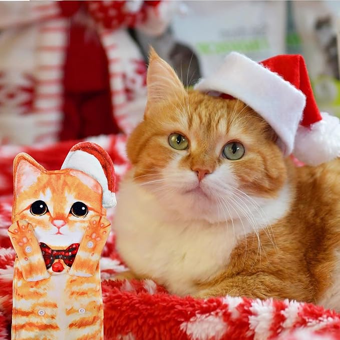 AGRIMONY Cat Funny Hand Towels for Bathroom Kitchen - Cute Decorative Cat Decor Hanging Washcloths Face Towels Super Absorbent Soft - Housewarming Birthday Christmas Fun Gifts for Women Cat Lovers