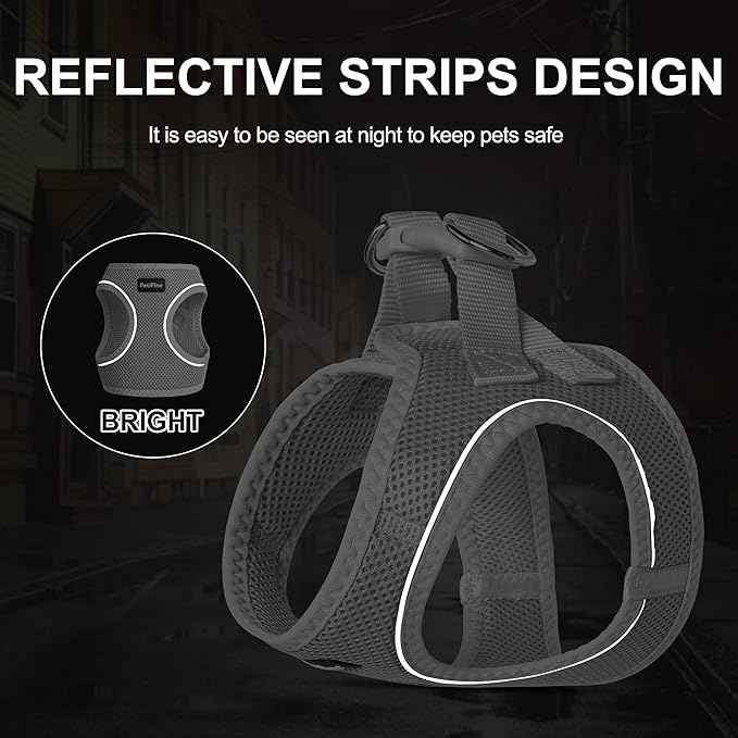 PetiFine Extra Small Step in Dog Harness and Leash Set, Cat Harness and Leash Escape Proof, All Weather Mesh Reflective, Step-in Air Vest Harnesses for Puppy(XXS, Grey)