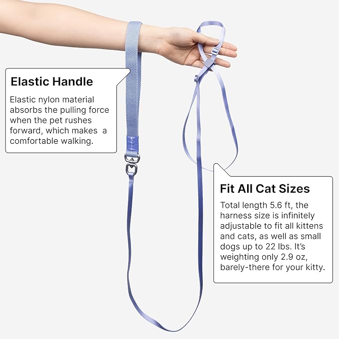 Cat Harness and Leash Set - U.S. IDA Bronze Awarding Design, Escape Proof and Anti-chocking, for Walking and tranning, Lighweight for Kitten and Small Large cat and Puppy(Space Grey)
