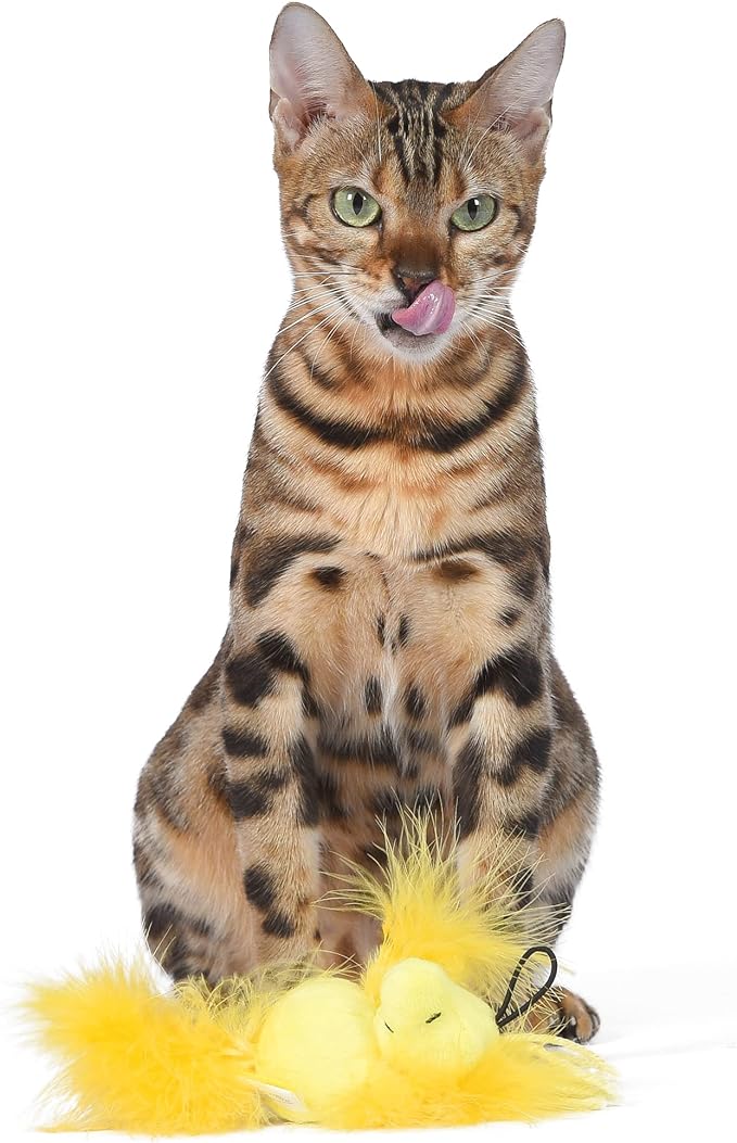 4” Woodstock Catnip Stuffed Plush Cat Toy with Feathers and Elastic Loop for Interactive Play | Peanuts for Pets | Interactive Toy for Cats | Cat Exercise Toy