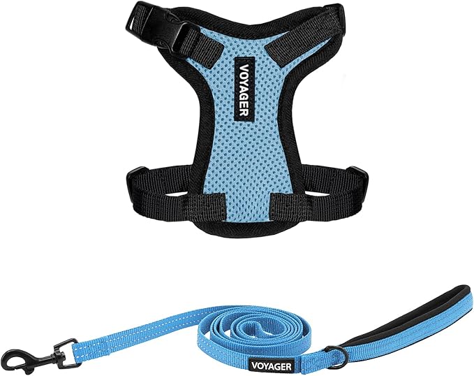 Voyager Step-in Lock Adjustable Cat Harness w. Cat Leash Combo Set with Neoprene Handle 5ft - Supports Small, Medium and Large Breed Cats by Best Pet Supplies - Baby Blue/Black Trim, XXS