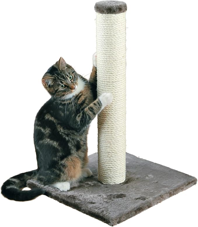 TRIXIE Parla Cat Scratching Post 24.25 Inch - Cat Scratcher with Soft Fabric Covering Base and Durable Sisal Rope - in Gray