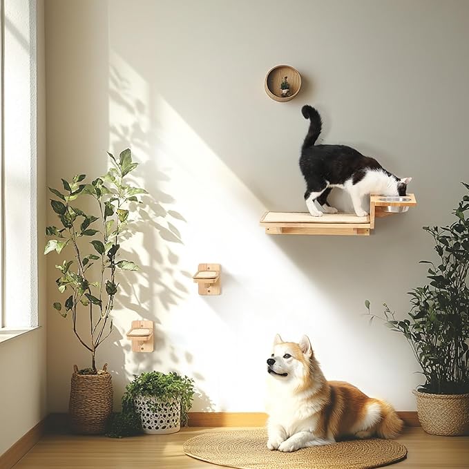 FUKUMARU Cat Wall Shelves, 3 in 1 Cat Wall Furniture Set, Cat Food Station with 2 Wall Steps, Solid Rubber Wood Cat Perch, Suitable for Cats Play, Nap, Eat, DIY Wall Jungle Gym