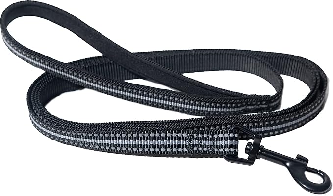 Travel Cat & Stray Cat Harness and Leash Set - Adjustable Velcro Mesh Cat Harness and Strong Nylon Leash Kit - Comfort Escape Proof Harness for Cats, Kitten for Outdoor Walking (Large: 13-16 in)