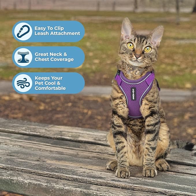 Voyager Escape Proof Cat Harness and Leash Set with Reflective Stitching, Neoprene Handle 5ft - Supports Small, Medium and Large Cats, Kittens for Walking by Best Pet Supplies - Purple, XS