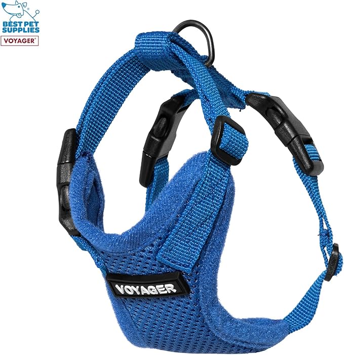Voyager Step-in Lock Adjustable Cat Harness w. Cat Leash Combo Set with Neoprene Handle 5ft - Supports Small, Medium and Large Breed Cats by Best Pet Supplies - Royal Blue, XXS