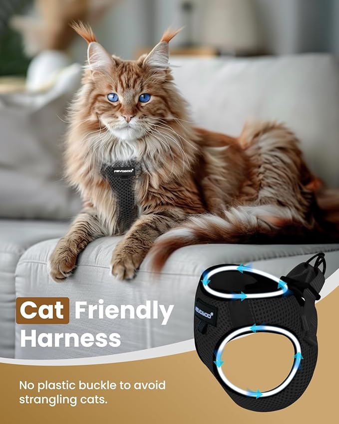 FAYOGOO Cat Harness and Leash Set for Walking Escape Proof, Kitten Harness and Leash Adjustable, Small Large Cat Walking Harness and Leash, Lightweight Soft Vest Harness and Leash (Large, Black)