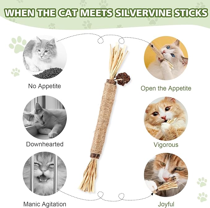 6 Pack Silvervine Sticks Cat Toy, Natural Cat Chew Stick for Cat Dental Care Teeth Cleaning,Matatabi Cat nip Treat Toys for Indoor Cats& Kittens