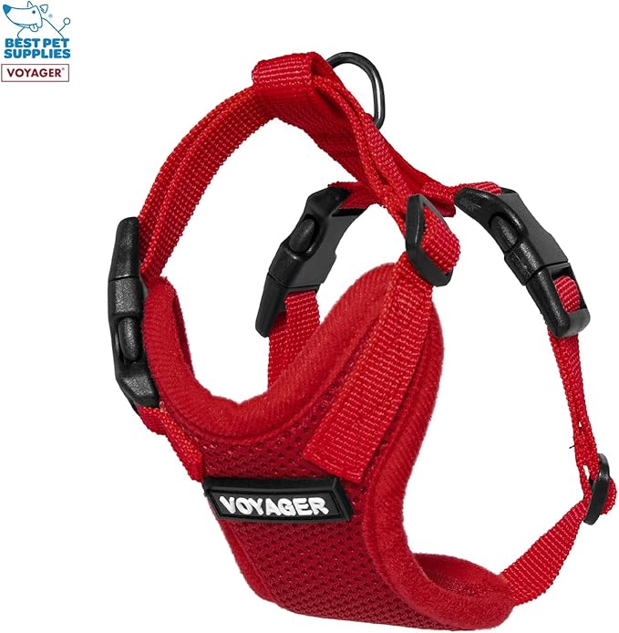 Voyager Step-in Lock Adjustable Cat Harness w. Cat Leash Combo Set with Neoprene Handle 5ft - Supports Small, Medium and Large Breed Cats by Best Pet Supplies - Red, XXXS