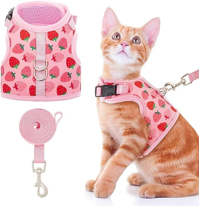 BINGPET Cat Harness with Leash Escape Proof - Fashionable Mesh Cat Dog Walking Harness Leads, Adjustable for Kitties Puppies Small Animals