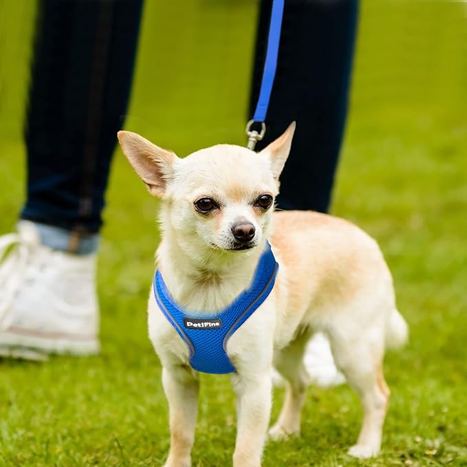 PetiFine Step in Small Dog Harness and Leash Set, Breathable All Weather Air Mesh Reflective Escape Proof, Step-in Vest Harnesses for Puppy(XS, Baby Blue)