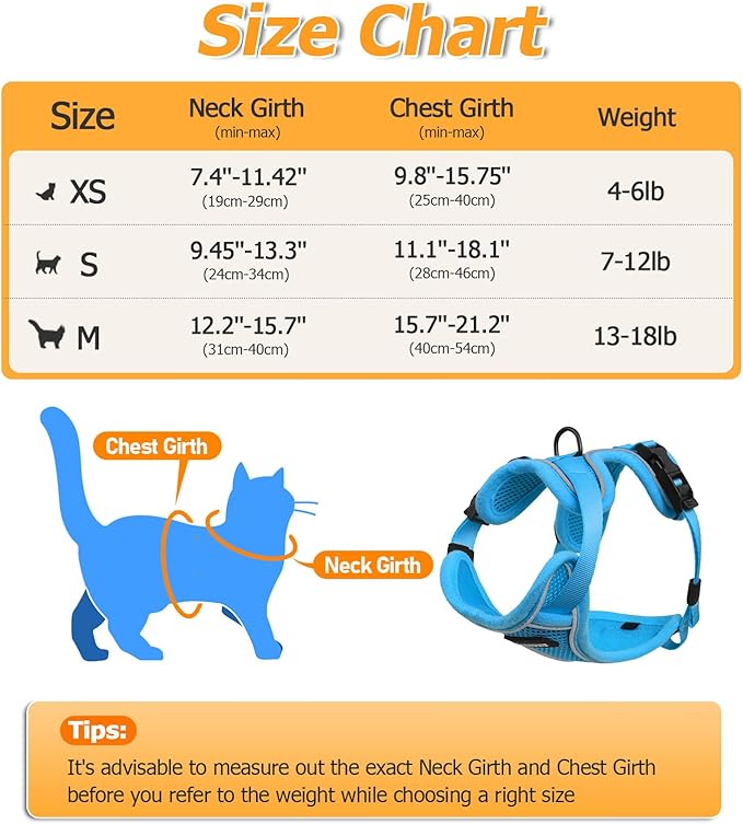 Halypet Cat Harness and Leash Set [MAX Safety 4th-Gen Upgrade] Escape Proof Adjustable Cat Leash Comfortable Soft Vest Easy to Wear Kitten Harness with Reflective Strip for Cats Walking, M SkyBlue