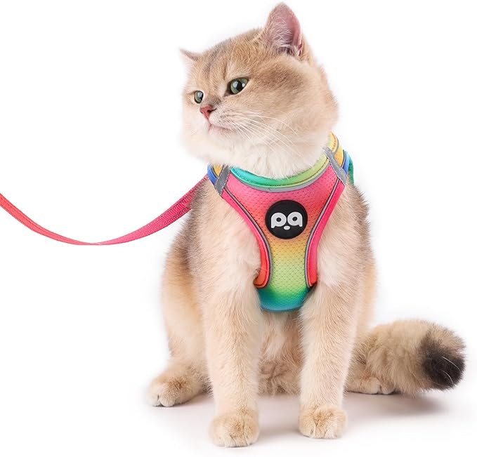 Cat Vest Harness Leash Set: Escape Proof & Reflective Kitten Soft Mesh Vest for Small Medium Large Puppy Pets Walking Hiking and Traveling(XSmall,Multi-Colored)