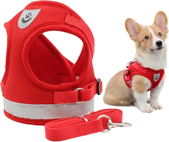 Comfort Step-in Cat Dog Harness and Leash Set for Puppies Cats Kitty Escape Proof Pet Vest Harnesses for Small Animals Rabbit/Mouse/Cats (M:3-4.5KG, Red)